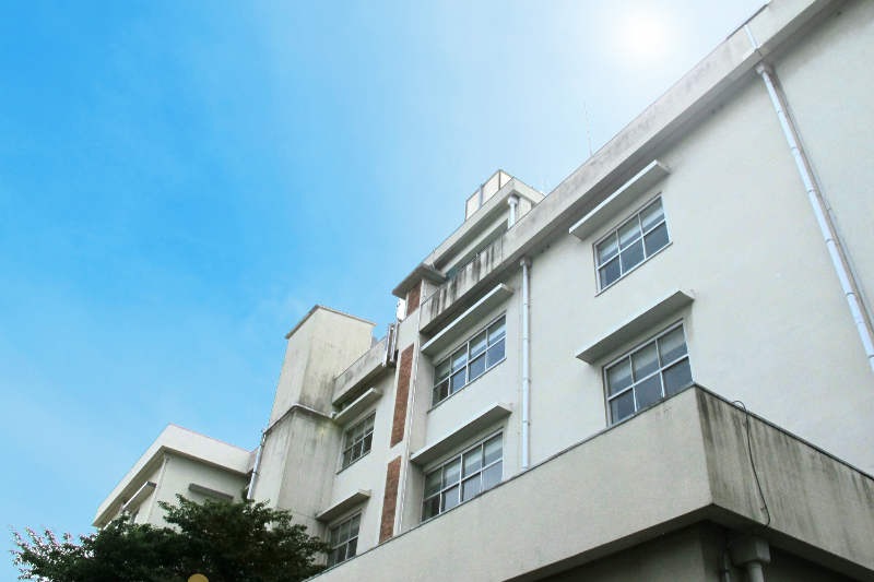 日本学校歯科医会について